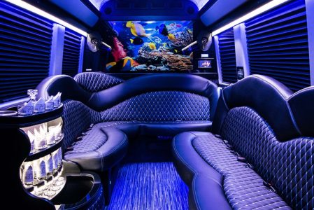 Luxury Sprinter Interior